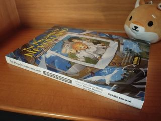 The promised neverland: La carta de Norman