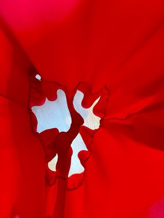 Mono corto Zara rojo lazo espalda