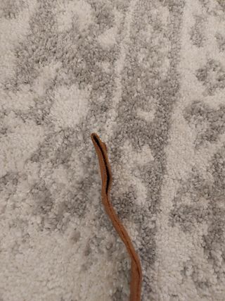 Cinta sujeción StokkeTripp Trapp