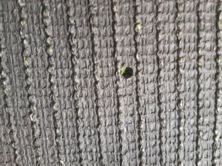 Alfombra Césped Artificial