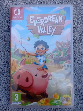 Everdream Valley Nintendo Switch