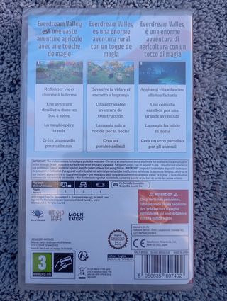 Everdream Valley Nintendo Switch