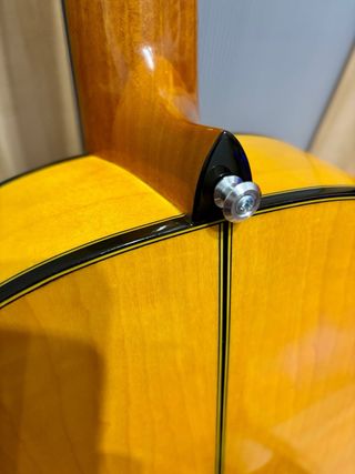 Guitarra Modesto Maya Amplificada YOTOKO