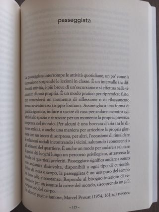 Camminare: Elogio dei sentieri e della lentezza...