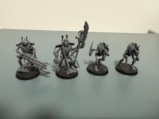 Héroes Necrones Warhammer 40k