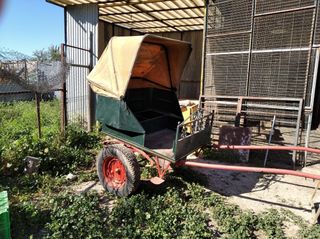 Charret tipo cortegana