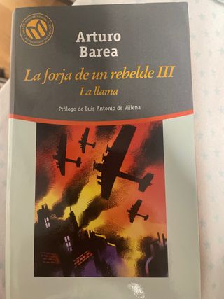 La forja de un rebelde III La llama