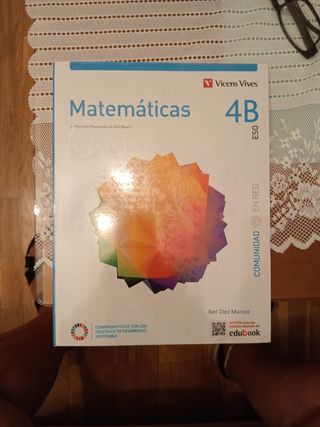 MATEMATICAS 4B (COMUNIDAD EN RED)