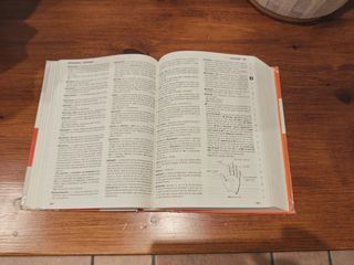 NOU DICCIONARI D´US DE VALENCIA