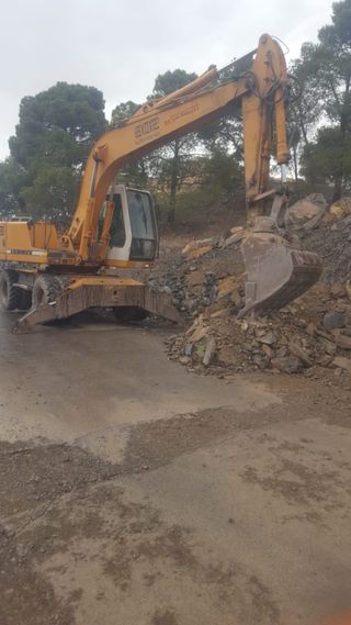 Maquinista autónomo con mas de 20 años de experien