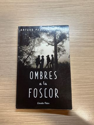 Ombres a la foscor