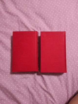 Tormentas de Guerra. 1. Warreb y Janice