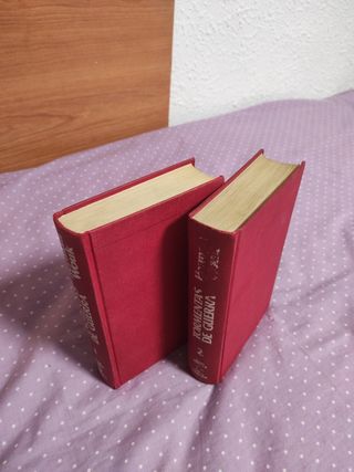 Tormentas de Guerra. 1. Warreb y Janice