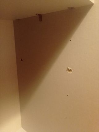 Dormitorio+armario (cama no)