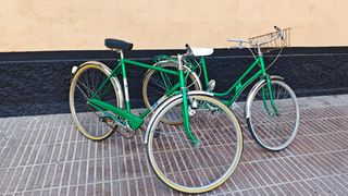 Bicicleta Clásica BH Verde