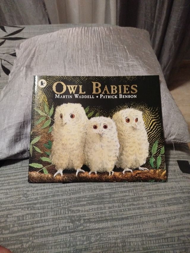 Libro infantil Owl Babies