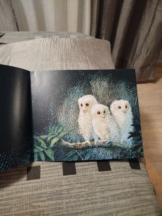 Libro infantil Owl Babies