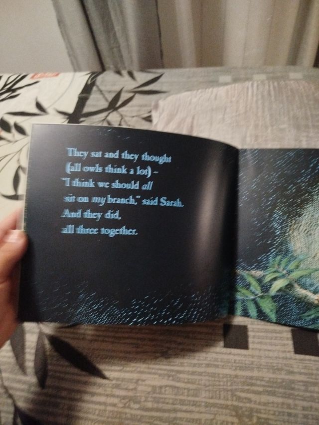 Libro infantil Owl Babies