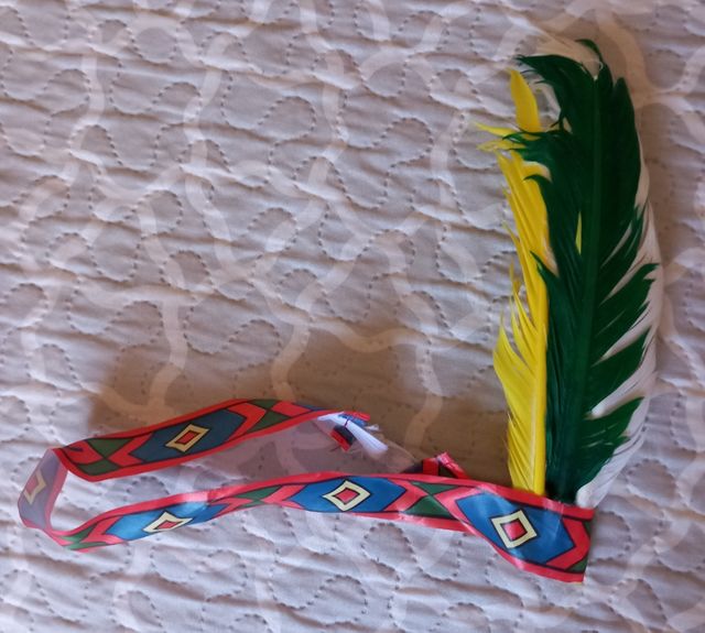 Disfraz India Talla Única