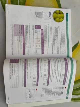 LLENGUA I LITERATURA 3 ESO CONSTRUIM MONS