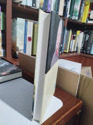 El Umbral de La Hoguera ( Novela Histórica)