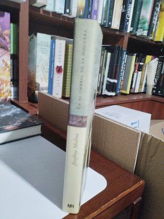 El Umbral de La Hoguera ( Novela Histórica)