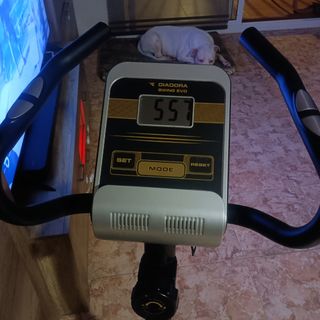 Bicicleta Estática Diadora