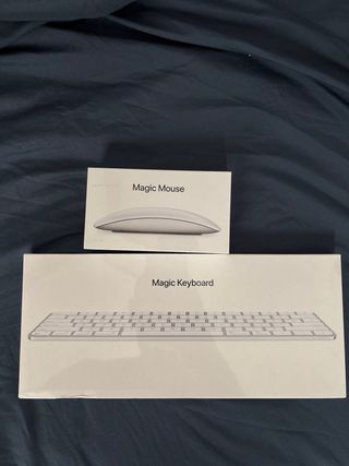 Teclado Apple Magic Qwerty Plata and magic mouse 2