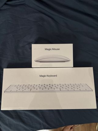 Teclado Apple Magic Qwerty Plata and magic mouse 2
