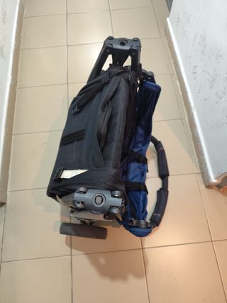 Carro de paseo Baby Monster