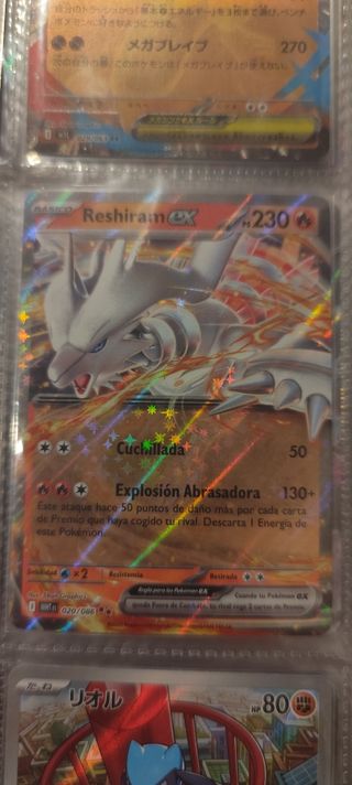 Lote Cartas Pokémon TCG