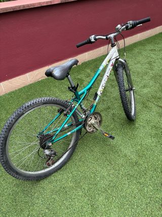 Bicicleta de montaña