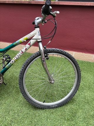 Bicicleta de montaña