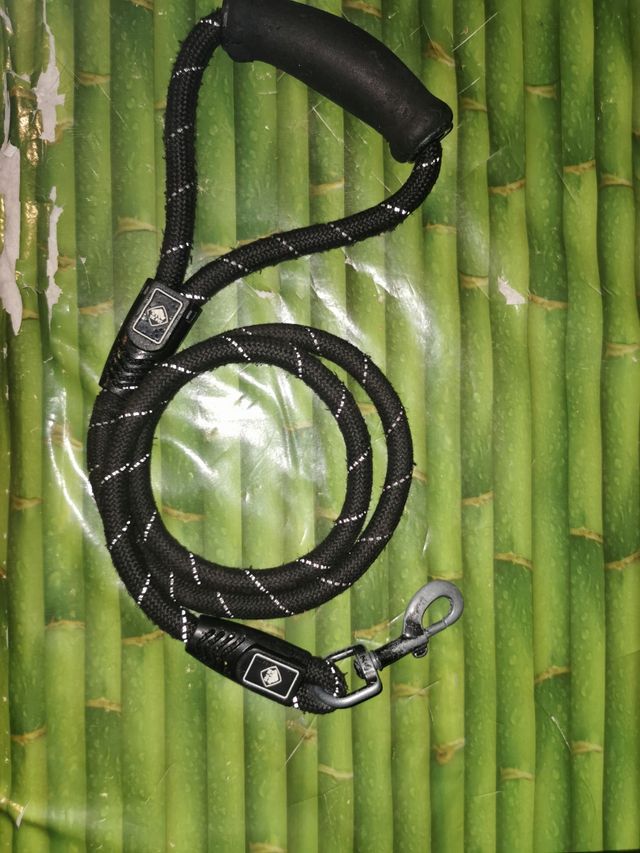 Correa para Perro Negra con Detalles Plateados