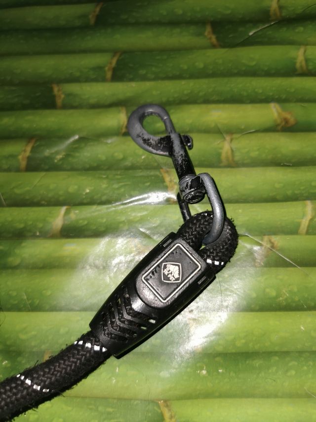 Correa para Perro Negra con Detalles Plateados