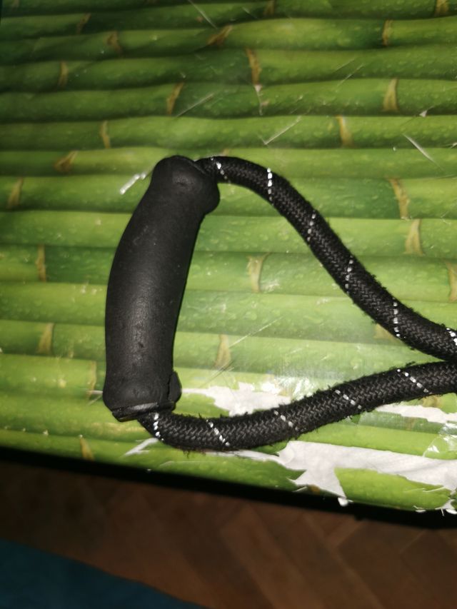 Correa para Perro Negra con Detalles Plateados