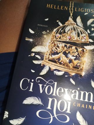 Ci Volevamo Noi. Chained