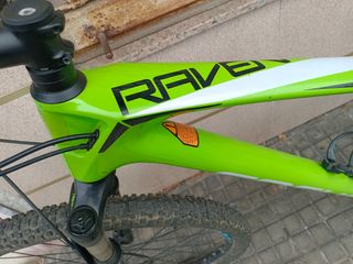 Bici MTB Focus Raven Carbon 29