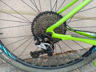 Bici MTB Focus Raven Carbon 29