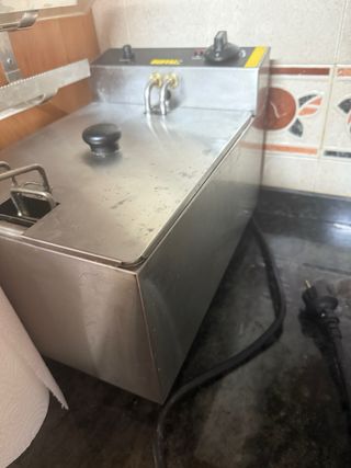 Freidora Profesional Acero Inoxidable