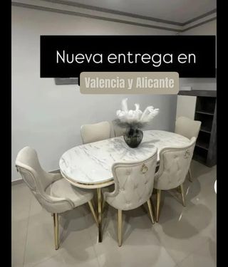 Mesa de ovalada con 6 sillas