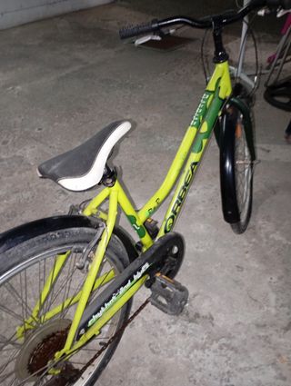 Bicicleta Orbea Paseo Verde