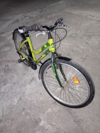 Bicicleta Orbea Paseo Verde