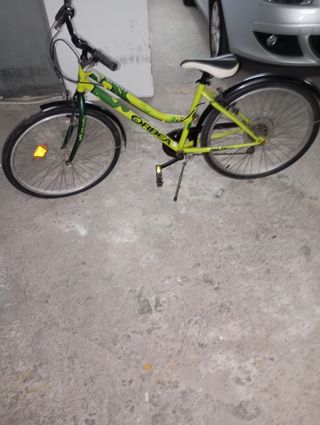 Bicicleta Orbea Paseo Verde