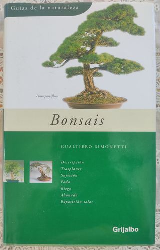 Bonsáis