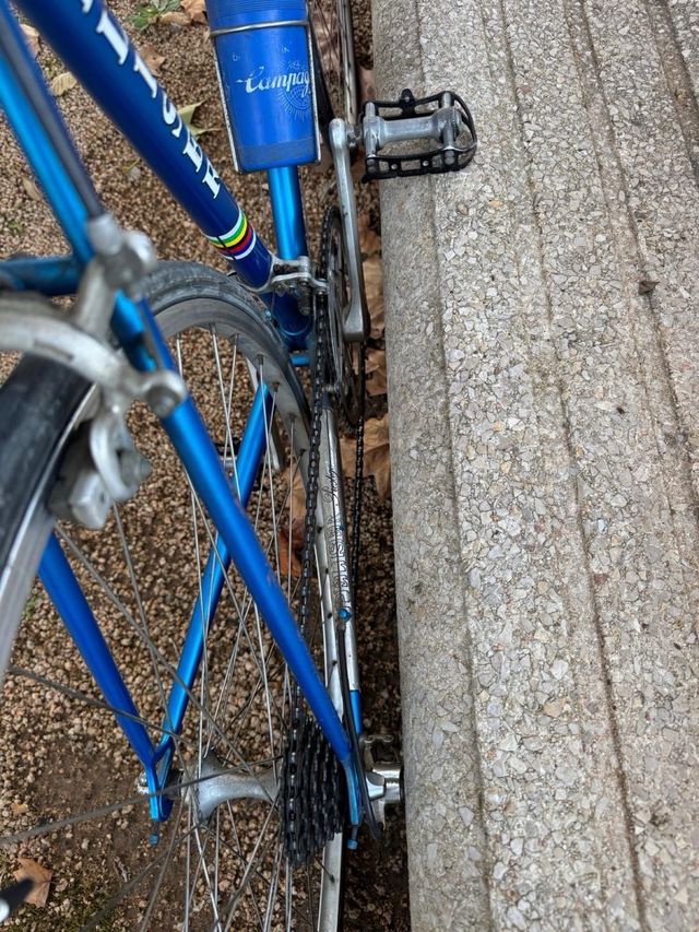 Bicicleta Carretera Vintage Massi