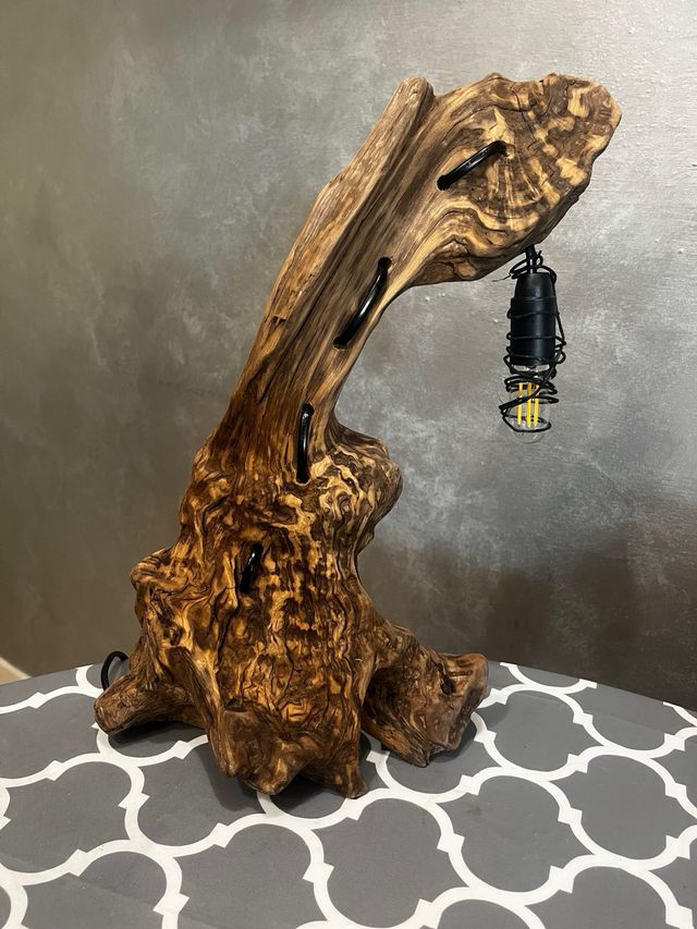 Lampada legno spiaggiato naturale del mar Tirreno