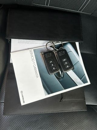 RX450H L   7 PLAZAS 2018