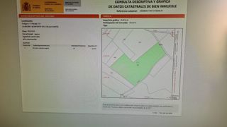 Finca agricola con casi 500 olivos. 18 mint Alican