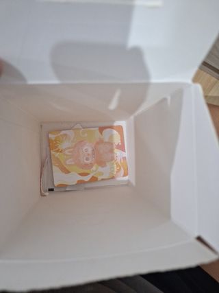 Labubu Big Into Energy